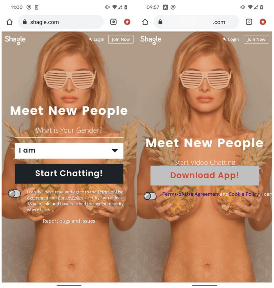 Fake vs Real App.jpg